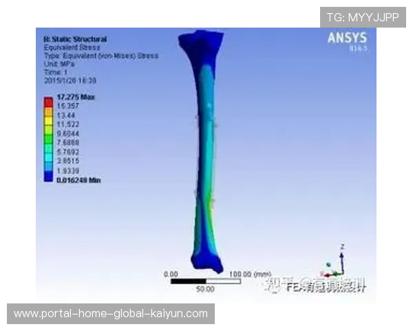 球员生物力学监测应用广泛 踝关节应力值成出战时间决策依据 球员生物力学监测应用广泛 踝关节应力值成出战时间决策依据